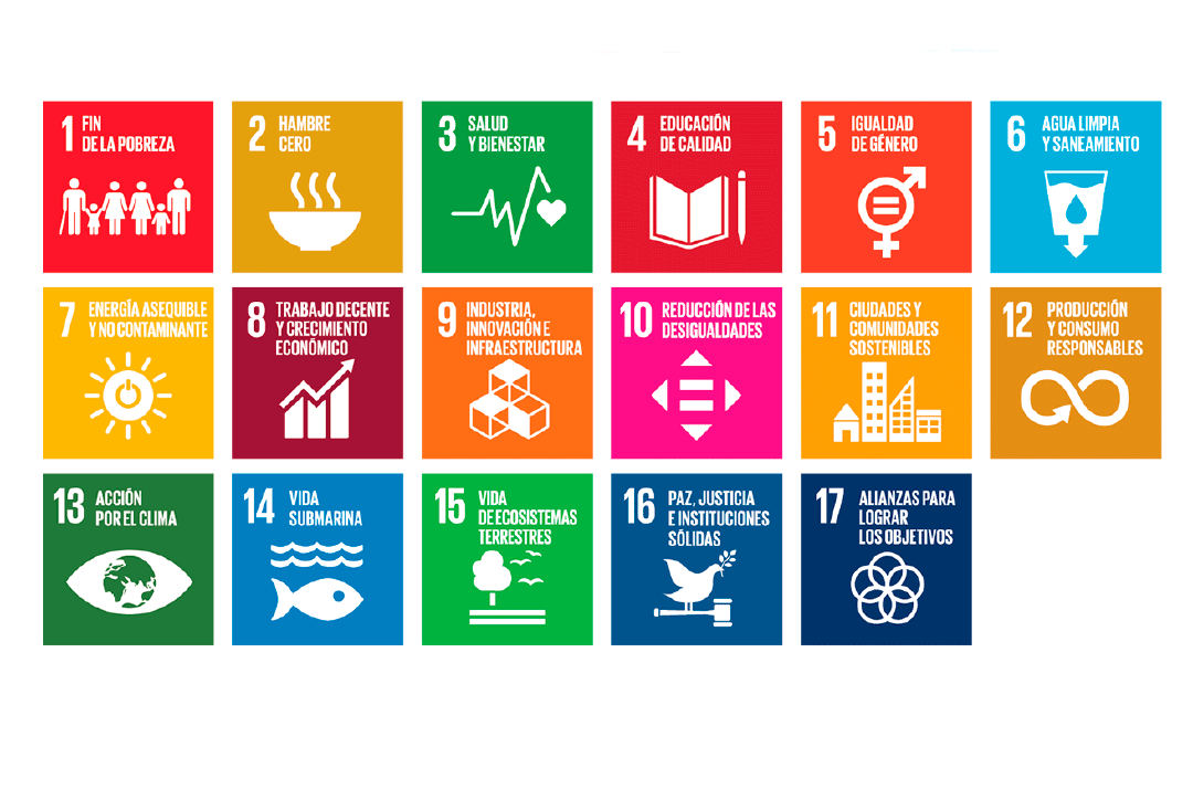 OBJETIVO DE AGENDA GLOBAL